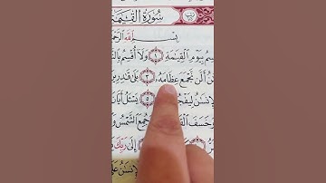 سورة القيامة #القرآن_الكريم #اكسبلور #اكسبلورفولو #تيك_توك #فولو