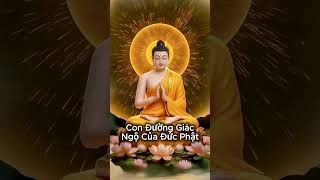 Con Đường Giác Ngộ Của Đức Phật
