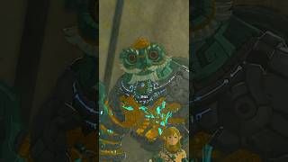 Did you notice this MINERU Detail in Tears of the Kingdom?