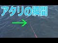 沈め釣りでアタリの瞬間