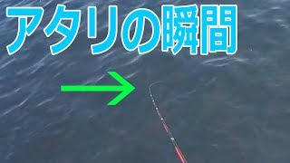 沈め釣りでアタリの瞬間