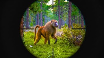 220+ Baboons Hunting in 30 Minutes(Ultimate Baboon Hunting Compilation)