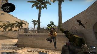 A perfectly normal ESEA pug