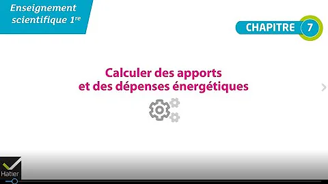 Comment calculer l'apport énergétique en kcal ?