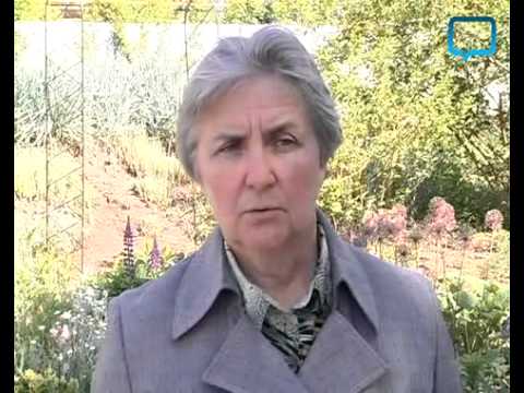 Обережно! Отруйні рослини