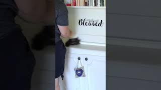 Flylady Weekly Home Blessing Hour || Power Hour Speed Cleaning || Clean with Me