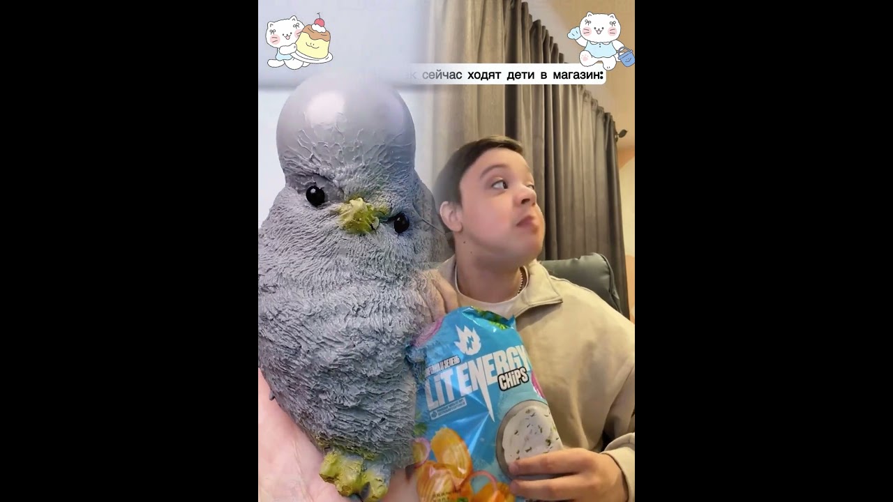 Рад, что вы подписались 