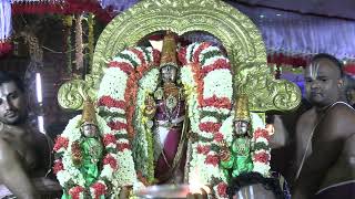 Kanchi Varadarajan - Pallava Uthsavam 2024 - Day 03 - Part 02  (4K)_23m 13s by Ranganathan Srinivasan 510 views 1 month ago 23 minutes