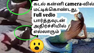 Real Mermaid In Tamilkadal Kanni In Tamil