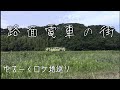 乃木坂46【路面電車の街】ロケ地巡り