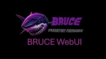 How to send files into Bruce Firmware