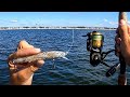 Fishing UNIQUE Jerkbaits & Jigs Off The Beach (EPIC Day)