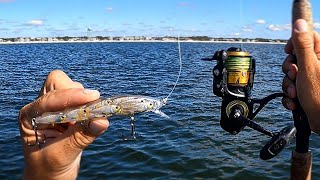 Fishing UNIQUE Jerkbaits & Jigs Off The Beach (EPIC Day)