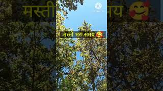 मस्ती भरा समय 🥰 #travel trip# old song#youtube #short video🎥# #Mahender art music
