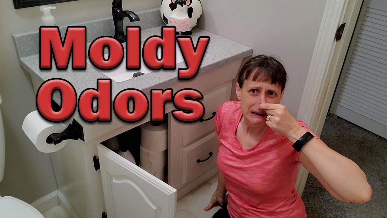 Musty Smell under the Sink: Solutions to Freshen Up