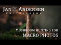 Mushroom hunting for MACRO PHOTOS