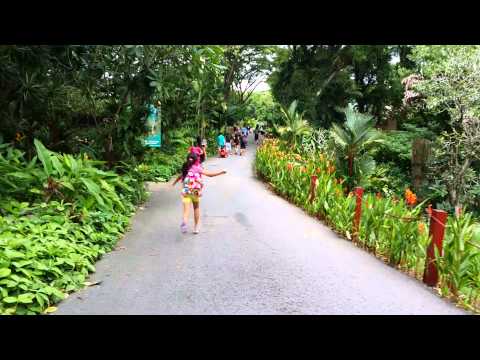 Jurong Bird Park Part 1