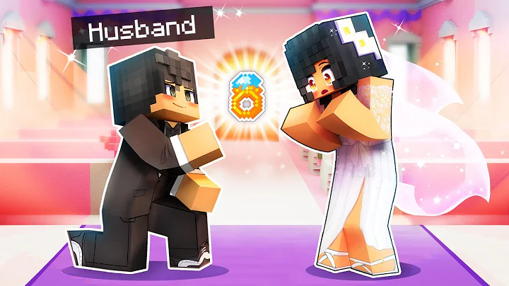 I Married Aaron In Minecraft!
