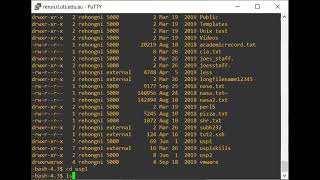 Bash/perl/unix/shell