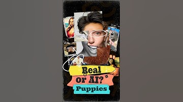 Real Puppies or AI?
