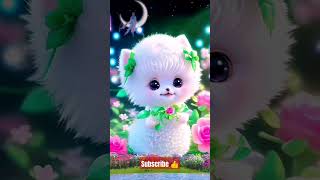 beautiful cats video lovely and beautiful cats video 🎯🤩