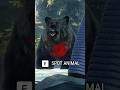 DOUBLE SHOT BEAR 😳