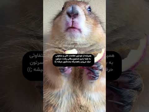 لزومی نداره ادما که نزدیکمون زندگی میکنن همچیو بدونن جنوب  میناب بندرعباس  سوغاتی فان