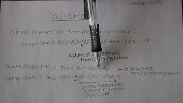 Frameshift Mutations Caused by Insertions