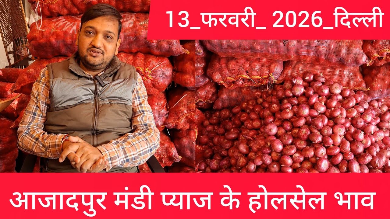 13 February 2026 दिल्ली 🧅प्याज के होलसेल भाव azadpur delhi mandi onion market price #onionmarket
