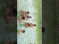 Swimming🏊 #swimming