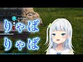 【がうるぐら】「猫ミーム」のBGMでバズった「チピチピチャパチャパ」をサメちゃんが歌ったら可愛すぎた!