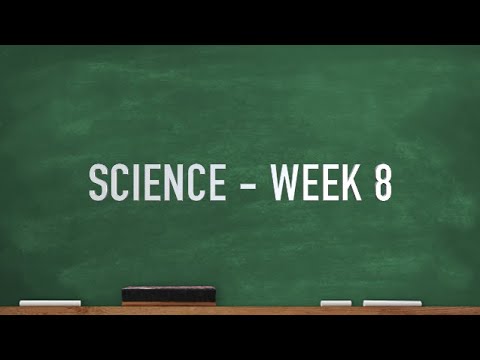 CC Cycle 2 Week 8 Science - YouTube