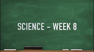 Famous CC Cycle 2 Week 8 Science Net Worth