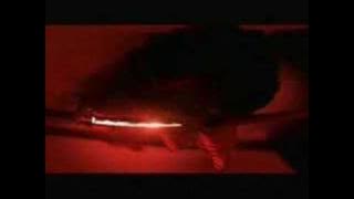 鄭伊健-天煞孤星/中華英雄(MTV)