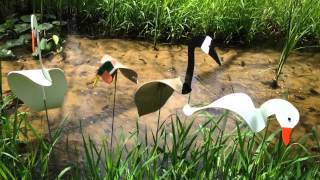 Florida Dancing Birds® SnowGoose, CanadaGoose, Mallard Duck & WhiteDuck