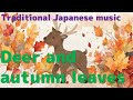【kawaii music video】Deer and autumn leaves | kawaii ∞