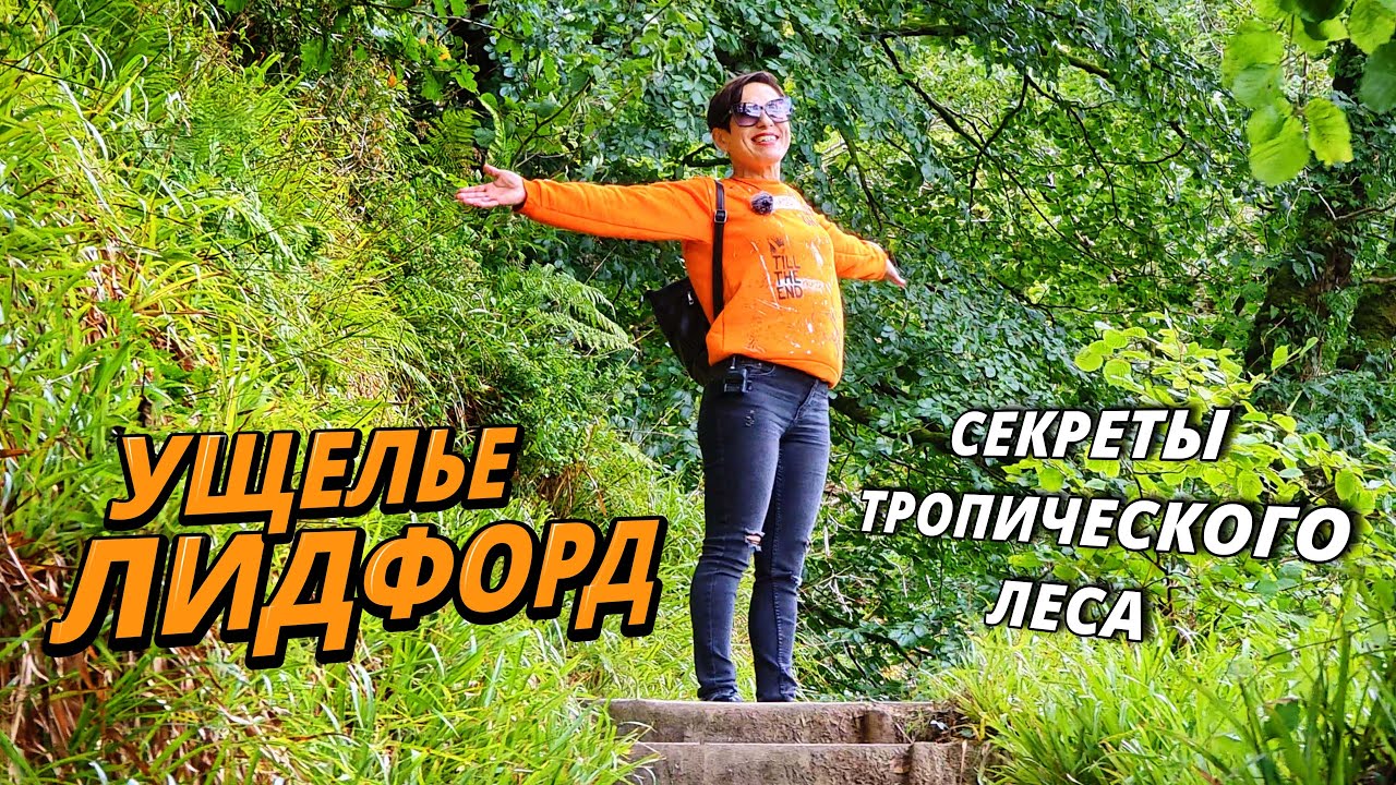 Ущелье Лидфорд, Англия - место для души!