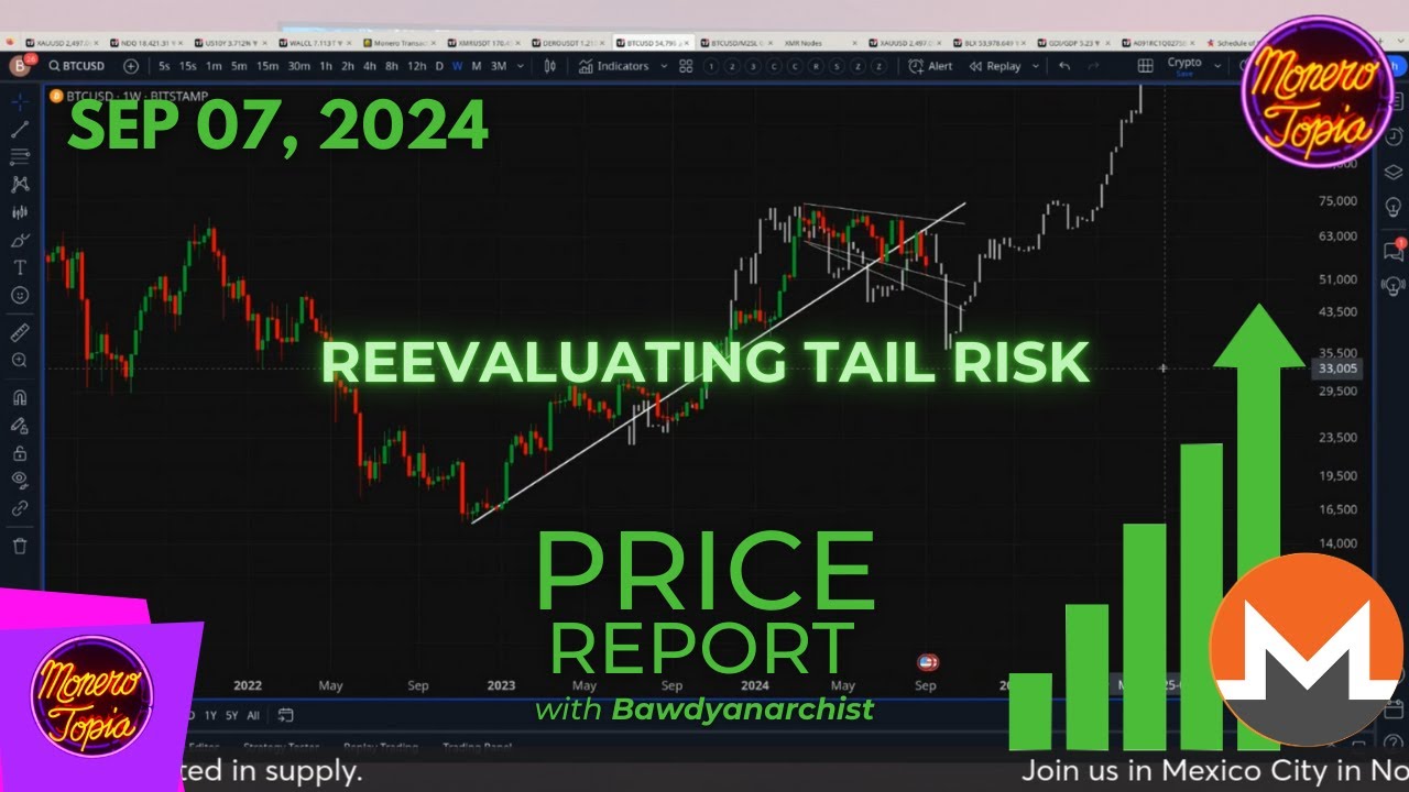 Reevaluating Tail Risk 09/07/24 (PRICE EPI 182) - YouTube