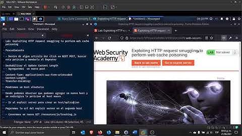 Lab Exploiting HTTP request smuggling to perform web cache poisoning