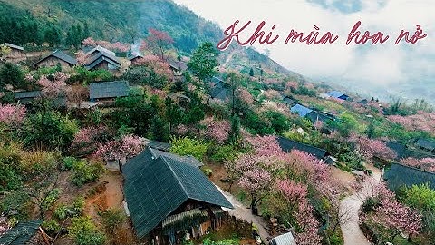 Khi mùa hoa nở | SẮC MÀU CÁC DÂN TỘC | VTV5