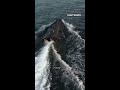 Naval drone attack 🔥 Ukrainian Military tech. Delta system #shorts #warinukraine #drone