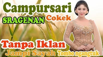 tanpa iklan paling cokek Bass ger Full album 1 JAM Tanpa iklan campursari sragenan view JALAN
