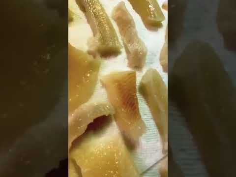 PIKE FISH FRY,
