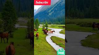 Mastana Mausam Hai Rangeen Nazara  Al  Dil Hai Tumhaara  Preity Zinta  Bollywood Love 