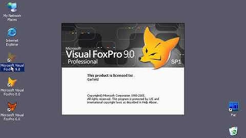 Learn Visual FoxPro @ garfieldhudson.com - Basic Reporting - Pt. 2 (Lesson 22 of 30)