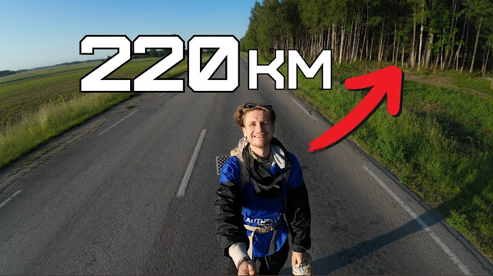 Miegu Miške, Tranzuoju ir Žaidžiu Su...
