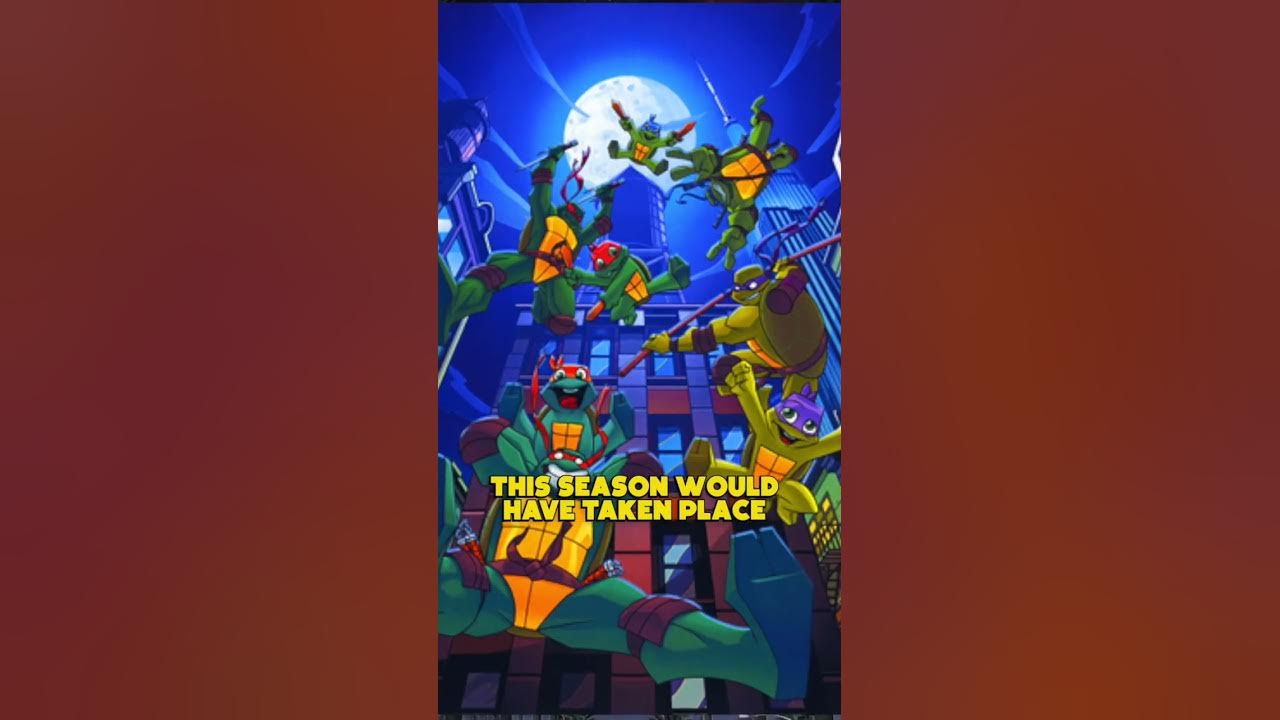 The Cancelled Season for the Ninja Turtles 2003 show - TMNT: Overload