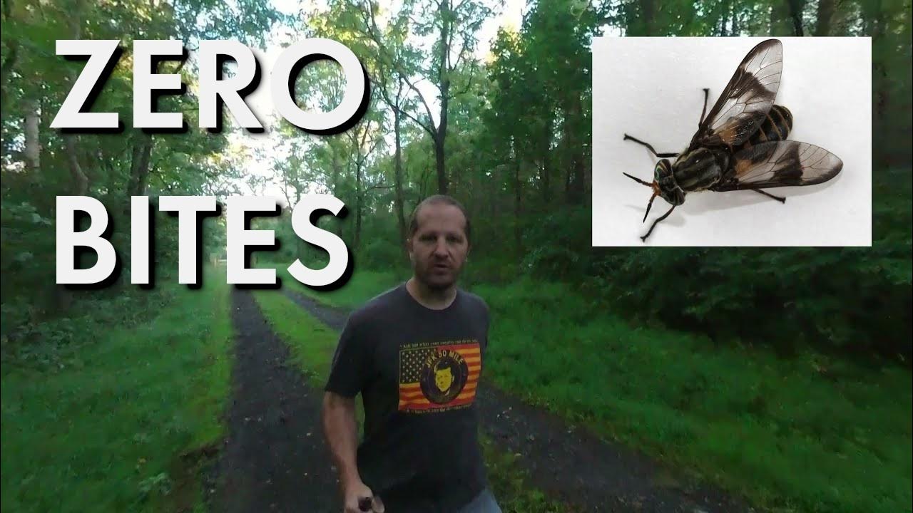 How to Keep Deer Flies Away While Running YouTube