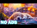 12 Hours of Soothing Music for Dogs🐾Help Your Dog Feel Calm, Loved, and Safe🎼Help Nervous Dogs