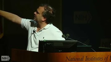 A multiscale biology approach for A multiscale biology approach for dissecting the complex processes